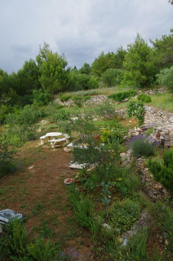 Apartamento Milica Garden Prvic Sepurine Exterior foto